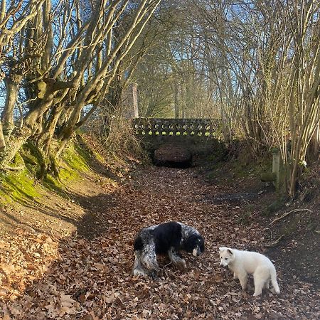 Le Rucher Bois-Normand-près-Lyre Buitenkant foto
