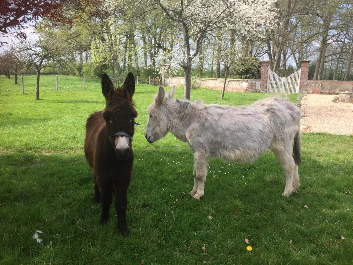 Le Rucher Bois-Normand-près-Lyre Buitenkant foto