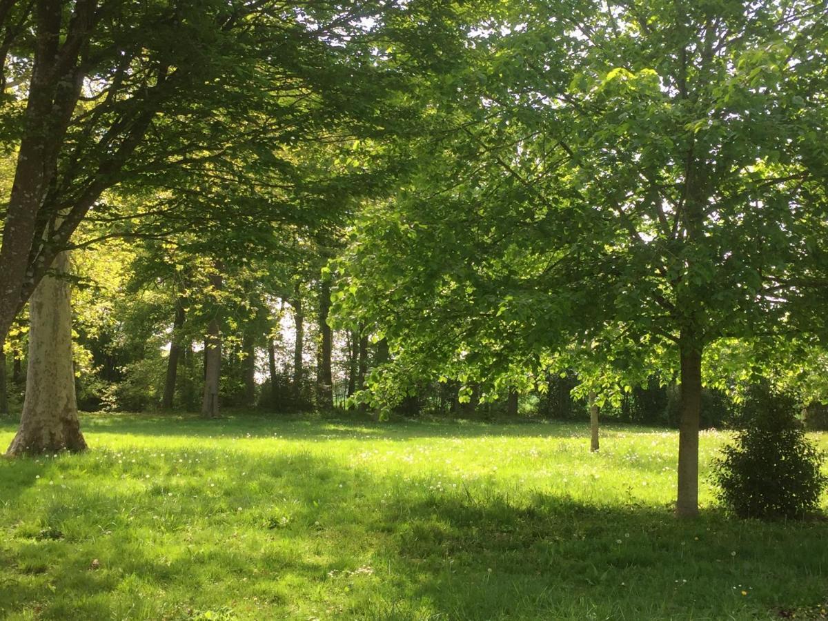 Le Rucher Bois-Normand-près-Lyre Buitenkant foto