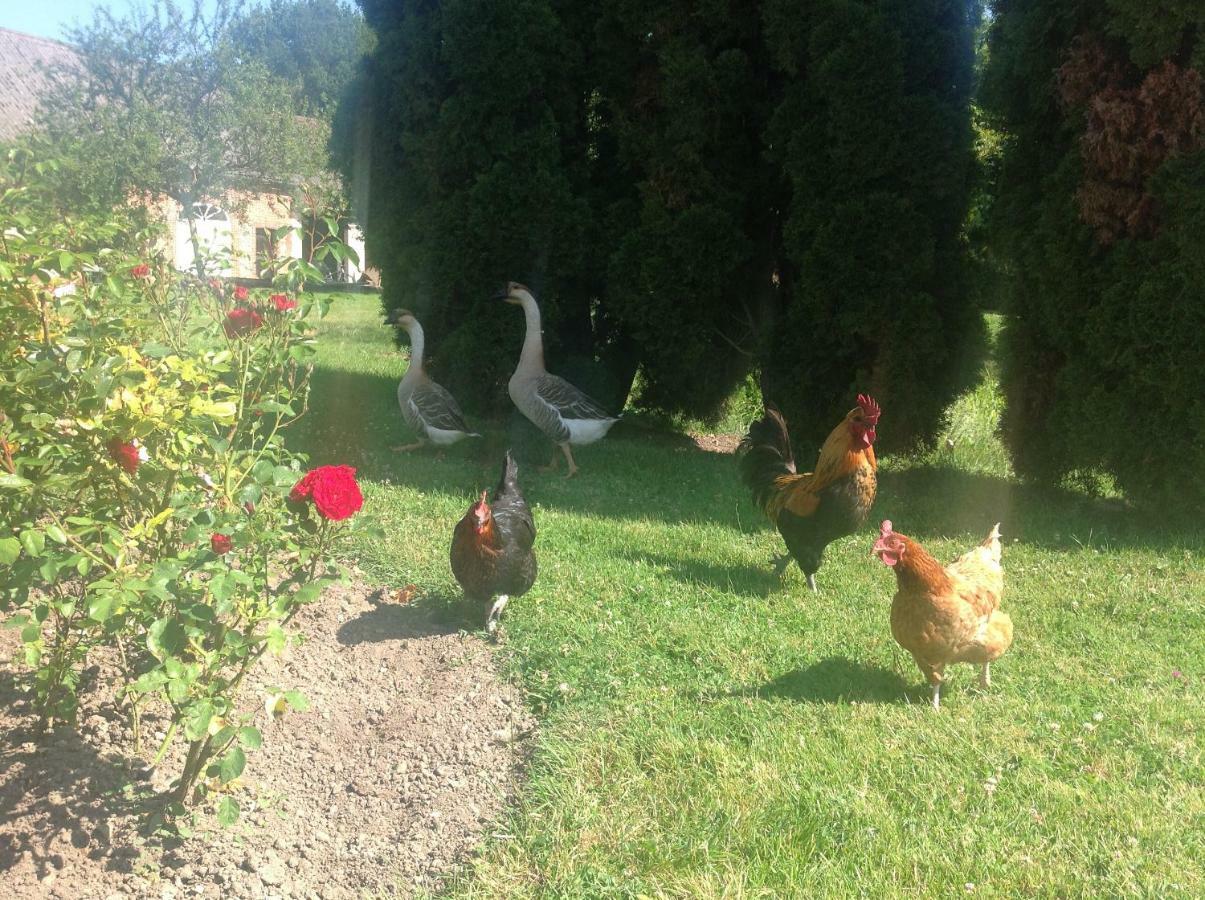 Le Rucher Bois-Normand-près-Lyre Buitenkant foto